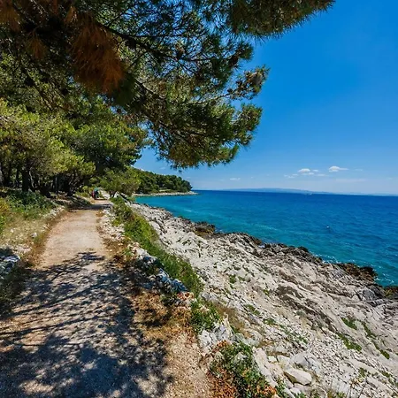 Marin Vila Trogir